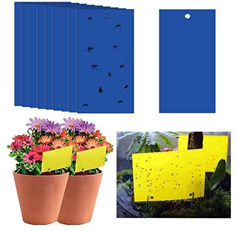20 st klibbiga flugfällor, 20 x 15 cm blå flugpappersklistermärken, blå klistermärke skyddsväxt, klibbig flugfångare dubbelsidig för insekts- mot svampgnat, vitflugor, bladlöss