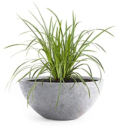 Pflanzwerk® Pflanzkübel Pflanzschale Bowl Ø 36cm Lava Hellgrau *Frostbeständige Blumenschale* *Deutsche Premiumqualität* *Lotus-Effekt Imprägnierung*