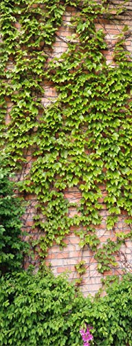 A.Monamour Adesivo Porta Autoadesiva Pianta Di Edera Verde Su Sfondo Di Muro Di Mattoni Rossi Vinile PVC Adesivi per Porte Interne 3D Pellicola Adesiva Poster Sticker Murale Carta da Parati