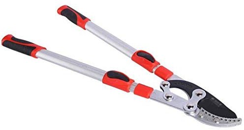 Tijeras para setos con recortadora de árboles de acero inoxidable para el jardín para podar hierbas, flores, rosales, vegetales, bonsái y otras plantas (gris rojo)