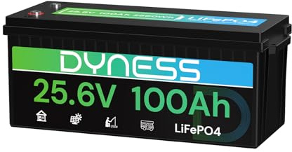 Dyness 24V 100Ah LiFePO4 Lithium Batterie mit Integriertem 100A BMS, ideal für 24V Trolling-Motoren(Bassboote), Wohnmobile und netzunabhängige Anwendungen