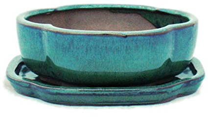 exotenherz - Bonsai-skål med fat storlek 2 – grön – haitang/oval – modell I5 – L 14,5 cm – B 12,5 cm – H 5 cm