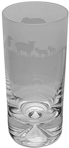 Animo Glass Bicchiere Highball di pecora