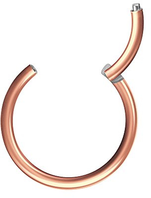 Piersando Universal Piercing Segmentring Septum für Tragus Helix Ohr Nase Lippe Brust Intim Scharnier Clicker Ring