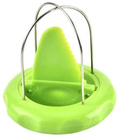 Rachlicy Kiwi Fruit Peeler 2 en 1 Kiwi Cutter Peeler Noyau De Creusement De Fruits DéTachable pour L'Outil D'éPlucheur De Cuisine à Domicile