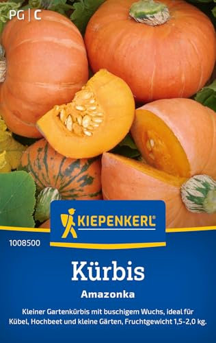 Kiepenkerl Kürbissamen Amazonka 1008500 – Kleiner Gartenkürbis - Fruchtgewicht 1,5-2,0 kg - Inhalt für 7 Pflanzen - Gemüsesamen, Samen Gemüse, Saatgut