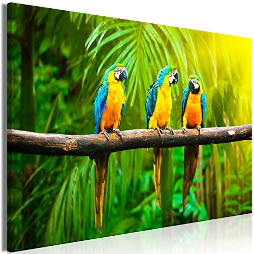 decomonkey Bilder Tiere Papageien 90x60 cm 1 Teilig Leinwandbilder Bild auf Leinwand Vlies Wandbild Kunstdruck Wanddeko Wand Wohnzimmer Wanddekoration Deko Pflanzen Natur