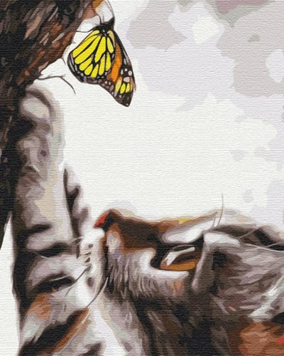 Artnapi Malen nach Zahlen Erwachsene mit Rahmen | DIY Handgemalt | Katze und Schmetterling | Kit für Anfänger und Erwachsene | Set inklusive Acrylfarben & Pinsel | 40x50cm Leinwand | Geschenke