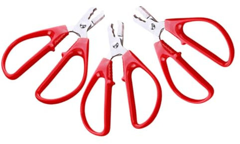 Ciieeo 3pezzi Sgusciatore per Noci Acciaio Inossidabile Strumento Portatile per Sbucciare Semi di Melone e Girasole Utensile da Cucina Compatto e Leggero