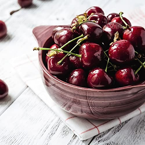 Cherry Tree 'Stella' Prunus avium Sweet Dessert Cherries Patio Fruit Tree Self-Fertile Hardy Easy to Grow Your Own Garden Fruit with Large 12-Litre Potted Plants by Thompson and Morgan