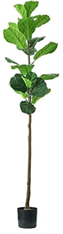 Künstliche Pflanzen Nordischer Künstlicher Baumzweig Künstliche Ficus Lyrata-Pflanze Gefälschter Banyan-Baum Für Hausgarten-Bonsai-Dekoration Fake Pflanzen Dekor (Color : B 160cm)