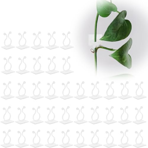 40 Pcs Clips de Fixation pour Plantes Grimpantes, Auto-adhésif Clip Mural Invisible, Rotin Vigne Supports de Stent pour Plantes, Fixation de Câbles de Bureau