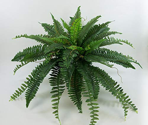 Seidenblumen Roß Boston Farn 80x45cm -ohne Topf- CG künstlicher Farnbusch Kunstpflanzen Bostonfarn Dekofarn