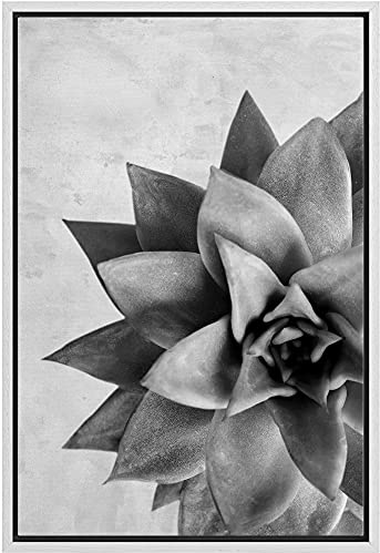 Woodrose Framed Canvas Print Wall Art Grayscale Lipstick Echeveria Succulent Floral Plants Photography Realism Southwest CloseUp Black and White for Living Room, Bedroom, Office - 24x36 WHITE