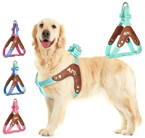 AIITLE Anti-Zug-Hundegeschirr – Weiche, verstellbare, reflektierende, gepolsterte Weste für kleine, mittelgroße und große Hunde, würgefrei beim Spazierengehen, Laufen und Camping, Türkis M