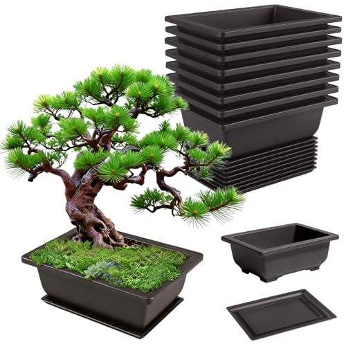 GBKDQQ Juego de 8 cuencos para bonsái, 16,5 x 12 x 6 cm, maceta para bonsái reutilizable de plástico, macetas para bonsáis adecuadas para patios, salones, balcones, jardines, oficina (negro)