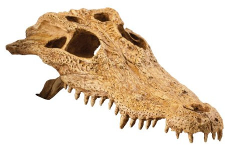 Exo Terra Krokodilschädel, sicheres Versteck für Reptilien und Amphibien
