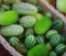 Semi di cetriolo ornamentali - Cucumis dipsaceus