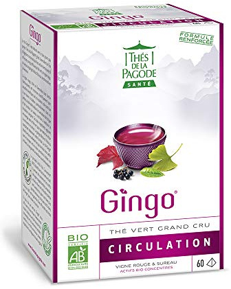 Thés de la Pagode - Organic Gingo Tea - Green Tea with Ginkgo biloba - Promotes Good Circulation - Box of 60 infusettes