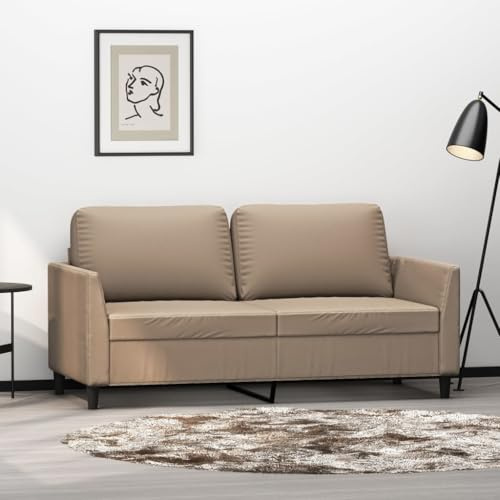 Owoxanthellate 2-Sitzer-Sofa Cappuccino-Braun 160 cm Kunstleder Metall Bequeme Schlafcouch für Wohnzimmer Büro Korridor Schlafsofa klein platzsparend Modernes Design