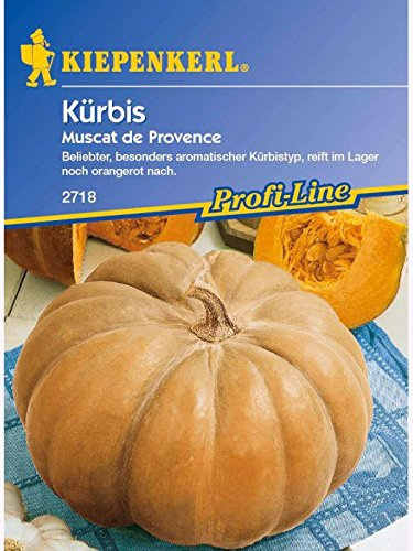 Sperli 2718 Gemüsesamen Kürbis Muscat de Provence, grün
