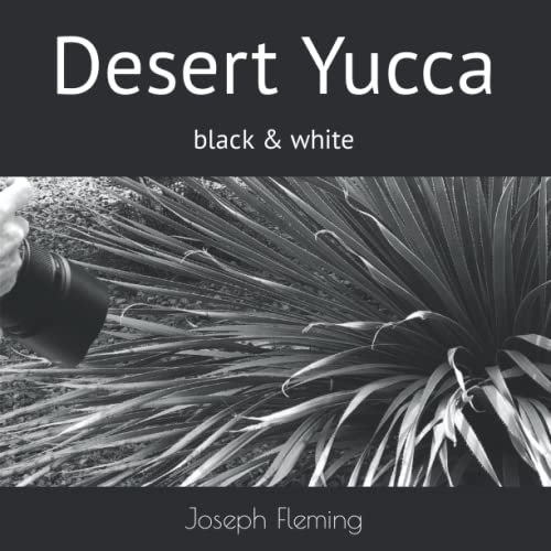 Desert Yucca: black & white