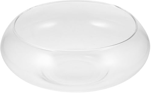 TOVINANNA Pot en Verre pour Plantes Grasses et Succulentes – Petit Contenant Transparent pour Jardinage Intérieur, Pot de Fleur Hydroponique Décoratif, Bureau et Balcon, 20 Cm