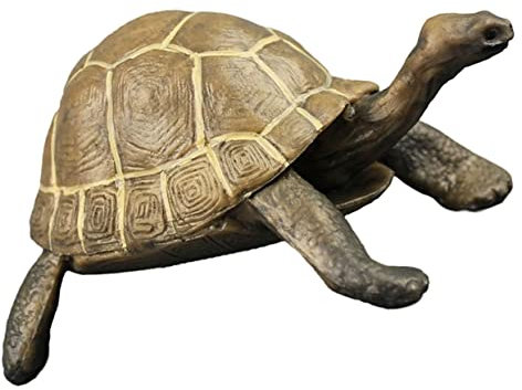 CIMAXIC Realistische Schildkröte Spielzeug Aus Kunststoff Lebensechtes Tierspielzeug Für Junge Mädchen Dekorative Schildkrötenfigur Für Heimtextilien Und Party-Accessoires