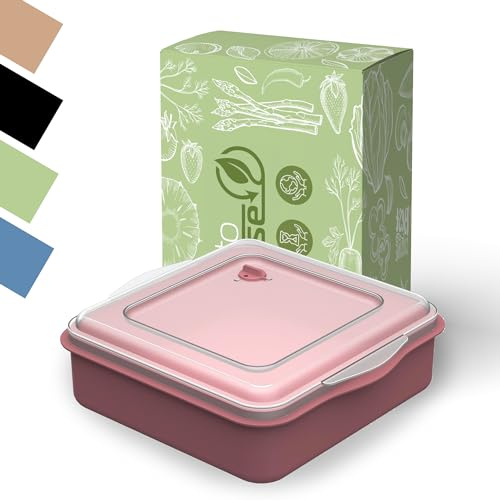 Menübox take away - Contenitore per alimenti e alimenti, riutilizzabile, 2 l, lavabile in lavastoviglie e adatto al microonde (rosso raffinato)