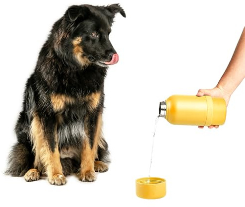 Ubbi Stainless Steel Insulated Portable 32 oz. Water Bottle for Dogs and Owners with Attached Dog Bowl, Yellow | Includes Attached Bowl for Water, 32 oz Portable Leakproof Bottle for Pets & Owners, Travel Accessories for Pets