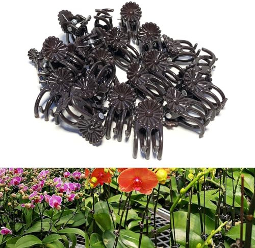1000 Stück Kunststoff-Pflanzenklammern Orchidee Schmetterling Kralle Clips Wiederverwendbar Garten Blumen Rebe Unterstützung Clips für Die Unterstützung Der Stämme von Gemüse Tomaten Klettern