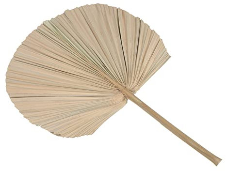 TINEASUR 1pièce Décoration De Palmier Séchée Accessoire De Fête pour Événements Et Décorations Murales