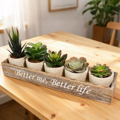 Zithgen 5PZ Artificiali Piante Grasse, MiNi Piante Succulente Artificiali Finte Decorazioni di Alta Qualità Vaso Piante Artificiali Finte Succulente in Vaso da Interno e Esterno per Scrivania, Casa
