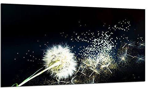 TMK - Piastra di copertura per fornelli, 90 x 52 cm, pezzo unico in vetro, per piano cottura a induzione, protezione dagli schizzi