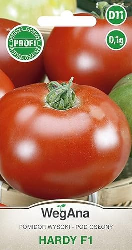WegAna Pomodoro Hardy F1 Semi di pomodoro 0,1g, Varietà tardiva, Semi di ortaggi robusti, Semi di ortaggi, Coltivazione di semi, Semi per serra