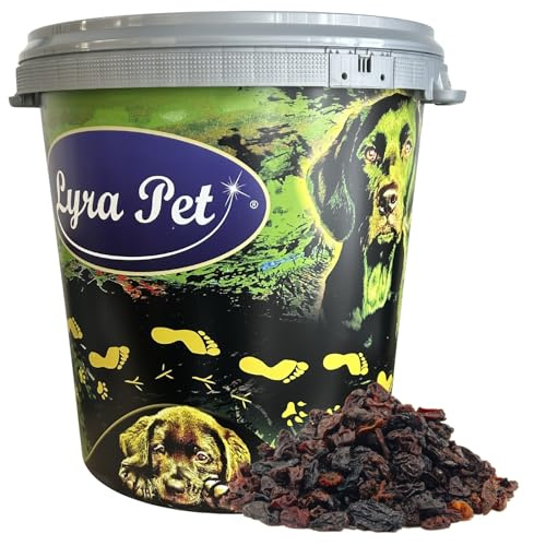 Lyra Pet® 10 kg Rosinen in 30 L Tonne Futterrosinen Wildvögel vitaminreich | Ganzjahres Wildvogelfutter - Energiespendes Vogelfutter für Sommer & Winter - Streufutter geeignet für Balkon & Terrasse