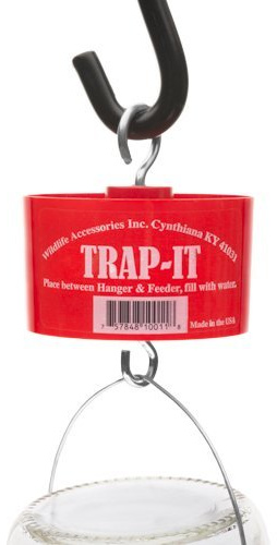 Trap-It Bird Feeder Ant Trap - Protect Bird Feed & Nectar from Ants & Other Insects - Easy to Clean & Use, Only Needs Water - Made in America