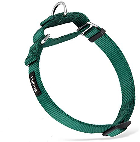 Hyhug Martingale Collar for Dogs Large Green |Escape - Proof Heavy Duty Nylon Durable No Pull, Ideal for Training & Daily Walks