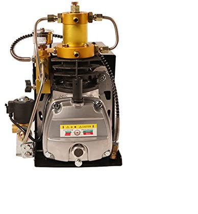 450. 0psi 300. Sbarra PCP. Compressore d'aria, spurgo automatico e mobile ad acqua ad alta pressione automatica regolabile SUNBING (Size : 110V)