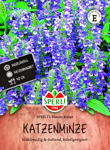 Sperli Katzenminzesamen SPERLI's Blauer Kater 85758, Kräutersaat | Mehrjährig, Duftpflanze