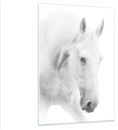 Bilder auf Glas Pferde Natur Tiere Glasbild 50x70cm Wandbilder Dekoration Wohnzimmer Schlafzimmer Küche Deko Klein Wanddeko Bild im Glas Wand Kunstdruck Art Modern Wall Decor Glasdruck GPA50x70-5197