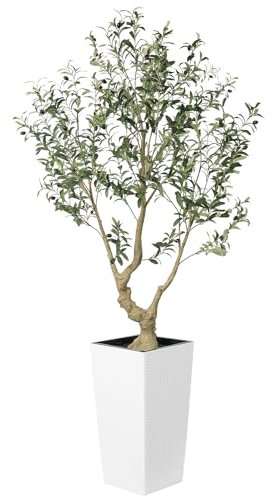 LYERSE Olivo sintético de 6 pies – Olivos artificiales para interiores con maceta blanca alta y grande – Olivo falso con tronco de madera natural y frutas realistas para decoración del hogar, la