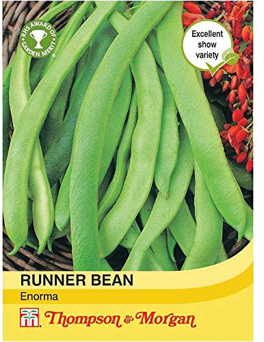 Thompson & Morgan - Vegetables - Runner Bean Enorma - 40 Seed