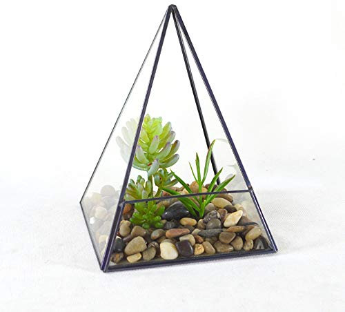 OQHAIR Terrari Piramide Verticale Terrario geometrico in vetro metallico per la casa e il matrimonio Fioriere per interni per interni Contenitore per piante (Colore: Trasparente Dimension