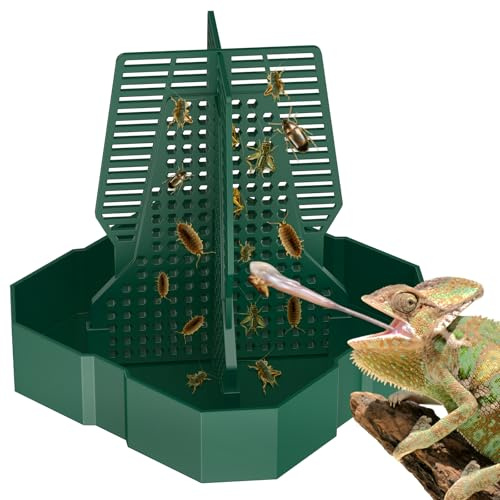 Pawfly Comedero para Camaleones - Comedero Escalable para Reptiles, Caja de Alimentación Grande de Plástico para Dragones Barbudos, Comedero de Insectos para Lagartos, Geckos y Ranas
