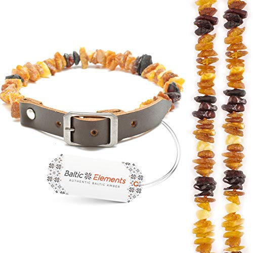Bernsteinkette Hund & Katze – Verstellbares Bernsteinhalsband – Bernstein Halsband für große & kleine Hunde und Katzen (50-55 cm)