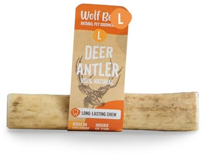 Wolf Belly - Corno di Cervo per Cani (Taglia L) | Masticativi Naturali e Resistenti | Riduce Tartaro e Placca | Ricco di Calcio e Proteine | Allevia Stress e Ansia - Prodotto in Europa