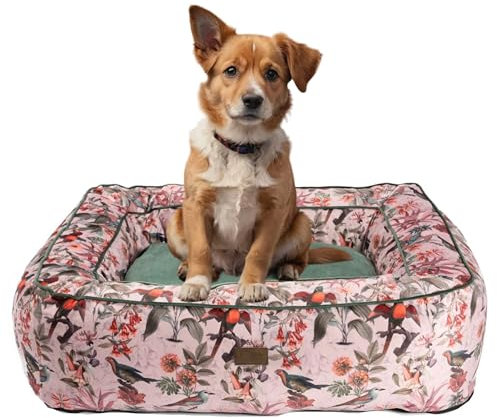 Bo&flash Kuscheliges Hundebett Boise Elodie - M - Hundesofa für Kleine & Große Hunde - Design Waschbar - Gelenkschonend Mit Anti-Rutsch-Beschichtung
