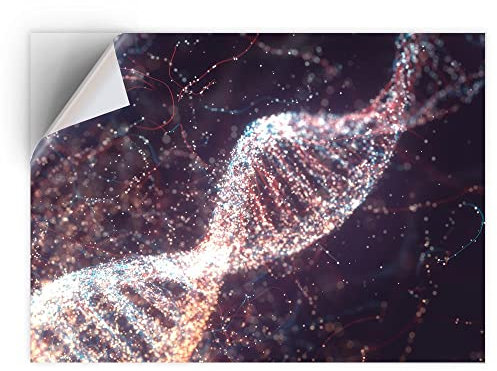 DV DESIGN 1 x Vinyl Sticker A5 - Rectangle Shape 15,8x21cm - DNA Double Helix Genetics Science Art Print Decal Laptop Tablet Luggage Car Bike Wall Fridge Door Sticker #16315