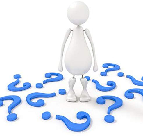 Heimische Eibe Albany 60-70cm - Taxus baccata